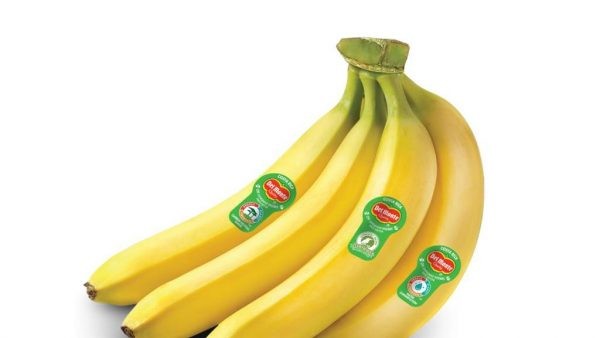 Sustentabilidad: Del Monte implementará etiquetas biodegradables a sus plátanos en Europa