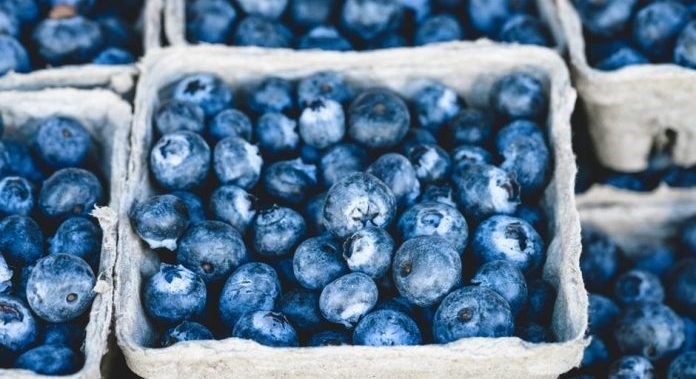 Agronometrics in Charts: Los arándanos orgánicos de México están ganando popularidad lenta pero constantemente