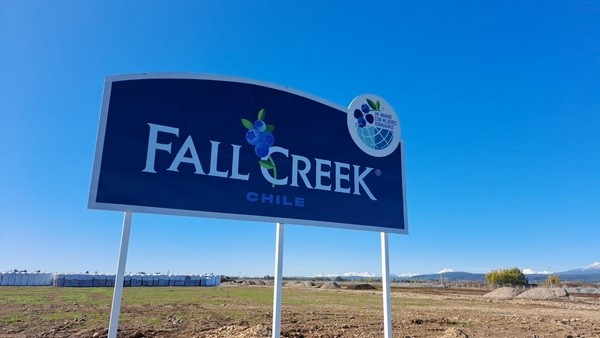 Fall Creek amplía su inversión en Chile con el establecimiento de un vivero propio