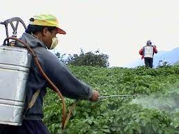 SAG prohíbe el uso de las formulaciones del plaguicida glifosato que contienen el coformulante tallowamina