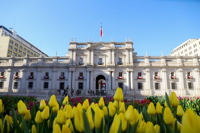 Primera vez en un país de Latinoamérica: Países Bajos celebra el Día Nacional del Tulipán y da la bienvenida a la primavera