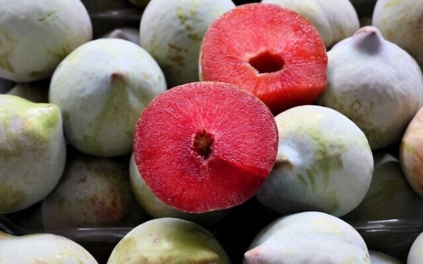 Israel: Crean “duraznos negros” y “ciruelas de sandía”