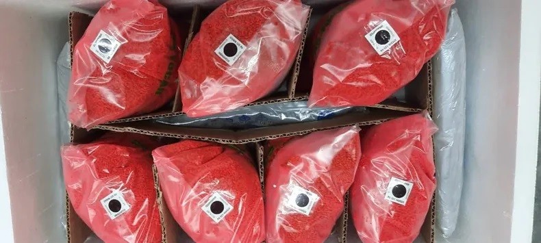 Mendoza exporta a Chile insectos contra Mosca del Mediterráneo