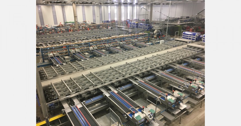 Listo para suministrar cerezas chilenas al retail europeo