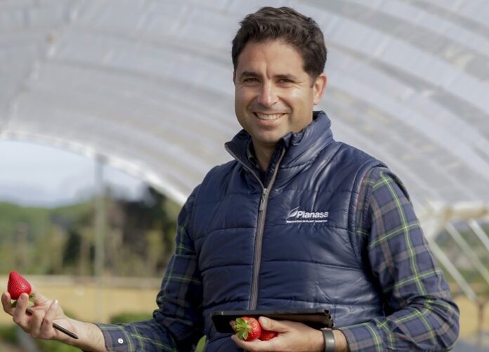 Presentan en Fruit Attraction dos nuevas variedades de frambuesa