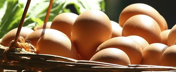 Sistemas de producción de huevos. Ventajas y desventajas