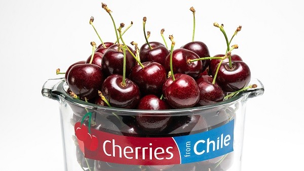Comité de Cerezas de ASOEX prevé un 25% de aumento en las exportaciones de cerezas frescas para temporada 2022 - 2023