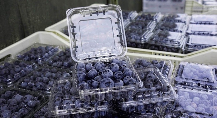 Perú planea expandir su producción a 12 nuevos destinos comerciales
