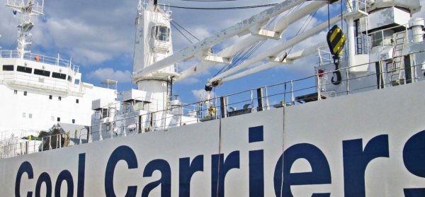 Arándanos chilenos tendrán servicio de chárter, “Blueberry Express”, desde el puerto de Coronel hasta el puerto de Gloucester en EEUU