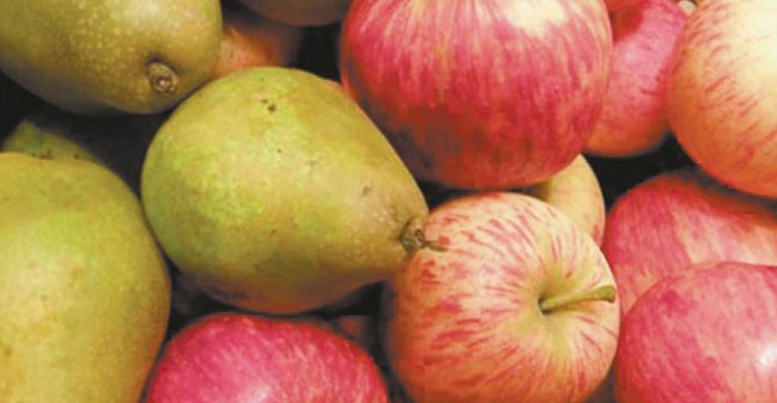 ARGENTINA: SE ESPERA COSECHA RÉCORD DE PERAS Y MANZANAS EN RÍO NEGRO