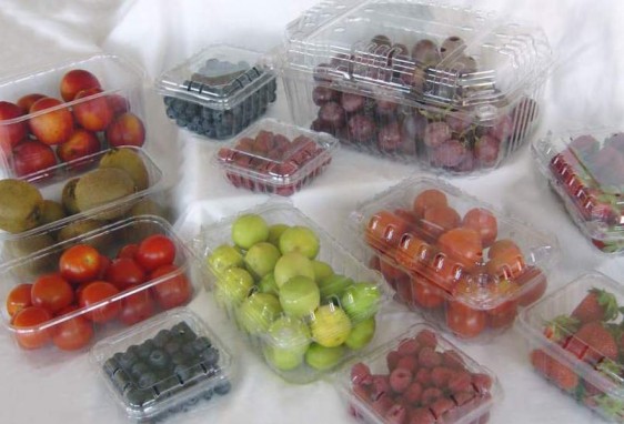 El mercado brasileño de frutas frescas envasadas prevé un crecimiento del 5,5% hasta 2031