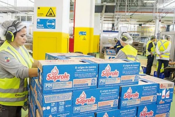 Venta de Soprole en recta final: cuatro empresas extranjeras interesadas en comprar firma chilena a Fonterra