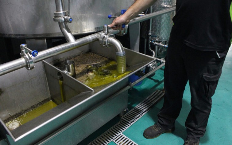 La Unión Europea fija las nuevas normas para la comercialización del aceite de oliva