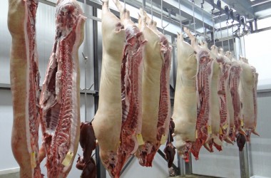 El USDA rebaja las perspectivas para la producción de carne de cerdo y pavo durante 2022