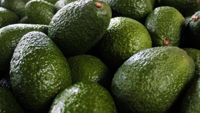 ProHass Perú: Actualmente existen 60.091 hectáreas de palta Hass en nuestro país, representando un aumento de 19% frente a 2021