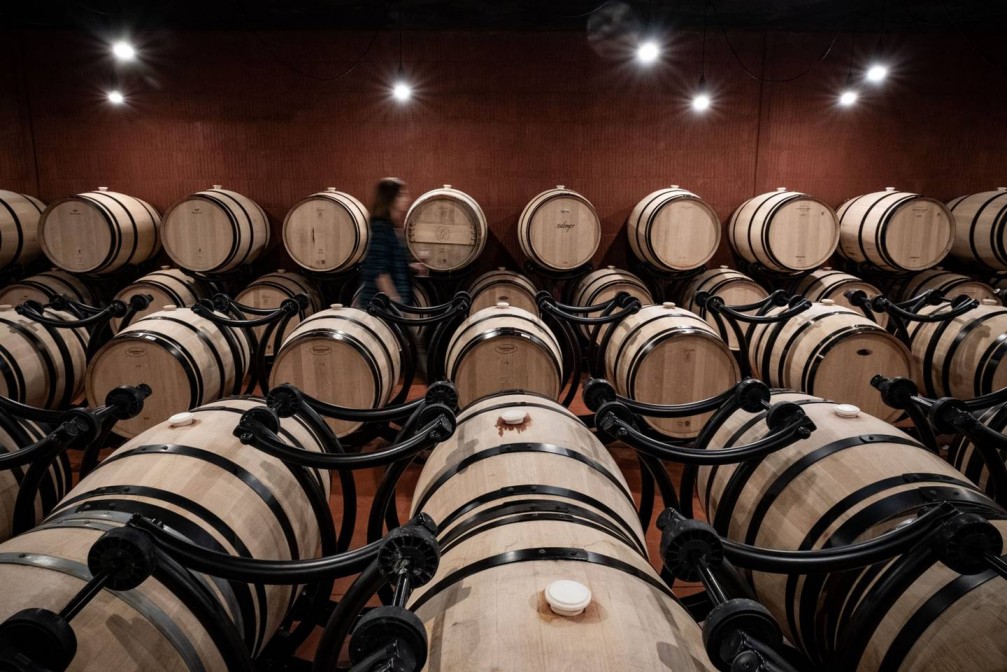 Cambio climático impulsa modificaciones en negocio del vino chileno