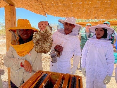 Apicultora cultiva miel en el desierto más árido del mundo