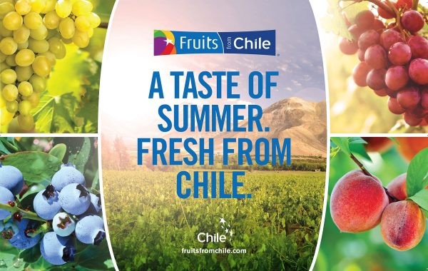 Frutas chilenas son esperadas en el mercado norteamericano