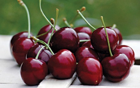 Cerezas de Pakistán logran acceso oficial al mercado de China