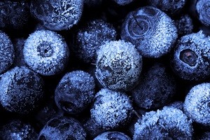 ODEPA: Exportaciones de frutas procesadas crece 20,2% entre enero y octubre de 2022