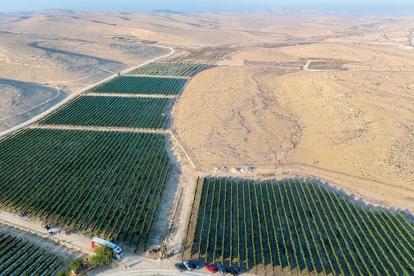Israel, un polo disruptivo para la tecnología del agro