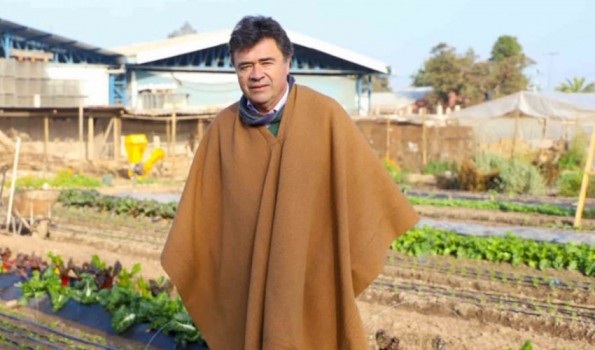 Ministro de Agricultura: “Se viene la mejor temporada de la fruta en la historia del país”