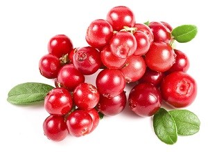 USDA prevé aumento de 5% en la producción de cranberries esta temporada