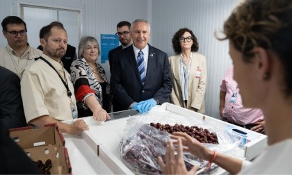 Argentina realiza primer embarque de cerezas y arándanos rumbo a Estados Unidos