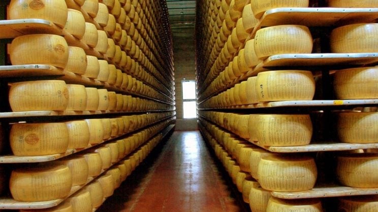 Productores de lácteos: el queso parmesano producido en Chile está en riesgo por el nuevo acuerdo con la Unión Europea
