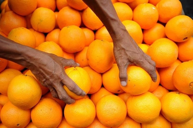 Sudáfrica va camino de batir récord de exportación de cítricos con 2.7 millones de toneladas en 2021/2022