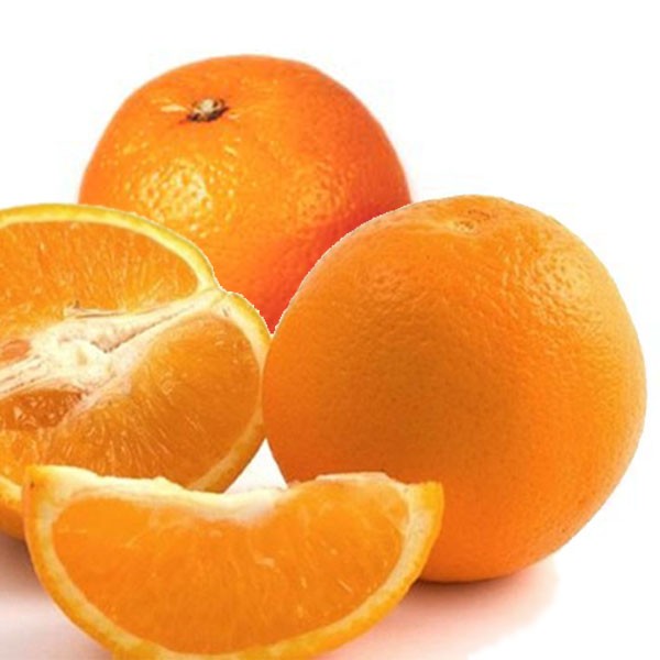Segunda previsión de Brasil: Se mantiene estable estimación de naranjas para esta temporada