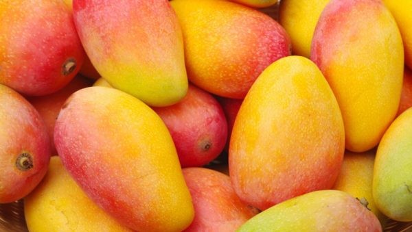 Mango colombiano llegará por primera vez a Estados Unidos