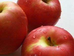 Argentina: La exportación de peras y manzanas de Río Negro y Neuquén en 2022 fue menor que en 2021