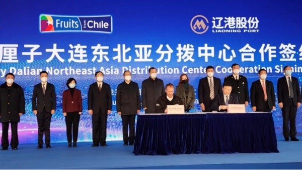 ASOEX firma MoU con operador de Puerto de Dalian y Maersk: Se abre nueva ruta para los “Cherry Express” y otras frutas chilenas en China