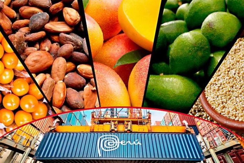 ADEX Perú: exportaciones regionales superaron los US$ 38.374 millones entre enero y noviembre de 2022, mostrando una caída de -2.2%