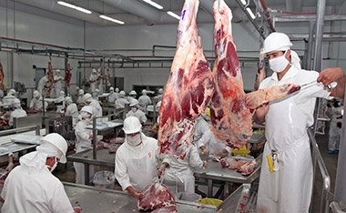 Uruguay : Precio de exportación de la carne está 21,5% abajo respecto al año pasado
