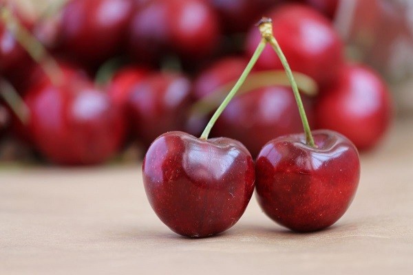 Solicitan políticas de Estado que potencien la mantención y el desarrollo de la industria de la fruta