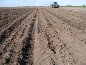 Por sequía, campo argentino aportará 13% menos divisas en el 2023