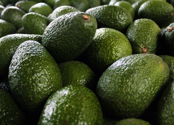 EEUU: Estimación de la producción de paltas levemente a la baja