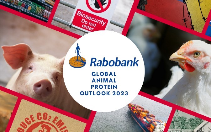 RABOBANK 2023: INDUSTRIA PRODUCTORA DE CARNES DEBERÁ PROYECTAR SU CRECIMIENTO EN MEDIO DE DESAFÍOS Y OPORTUNIDADES