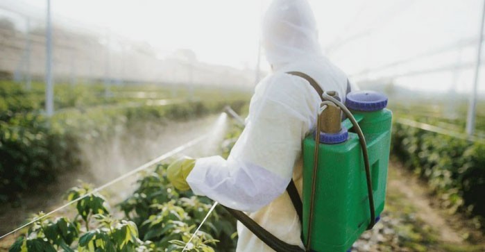 COMISIÓN EUROPEA REDUCE LOS LMR DE INSECTICIDAS NEONICOTINOIDES POR IMPACTO AMBIENTAL