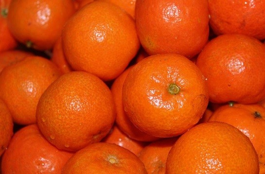 Exportaciones sudafricanas de mandarina alcancarían la cifra récord de 560.000 toneladas en 2022/23