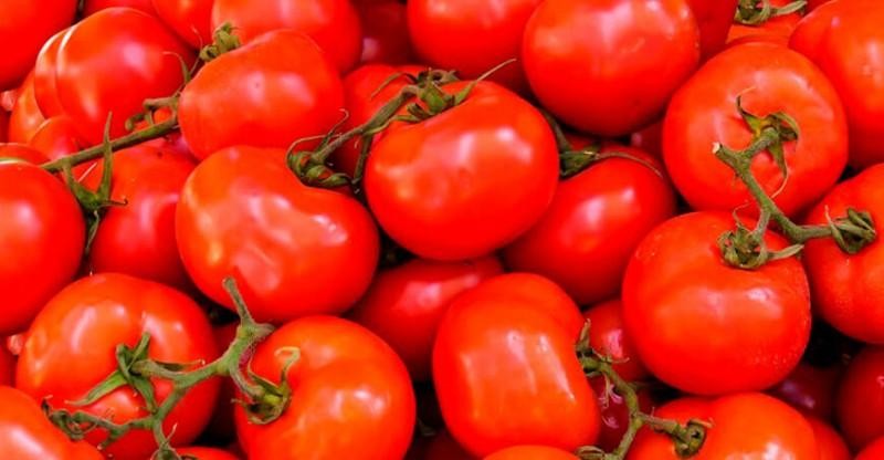 Perú: Exportaciones de tomate fresco por parte de Perú sumaron 3.402 toneladas por US$ 1.4 millones en 2022