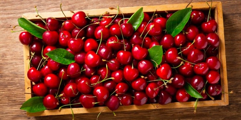 Volumen de cerezas chilenas aumenta un 58%