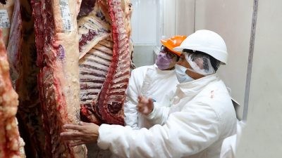 Detectan subfacturación en exportaciones de carne argentina