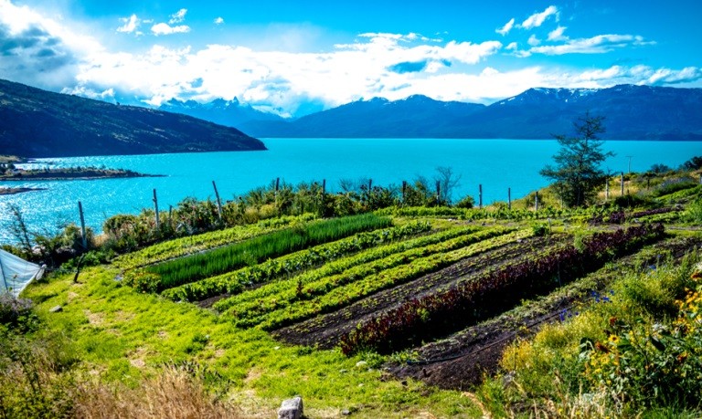 Destinarán más de 270 millones para el desarrollo del rubro hortofrutícola en Aysén