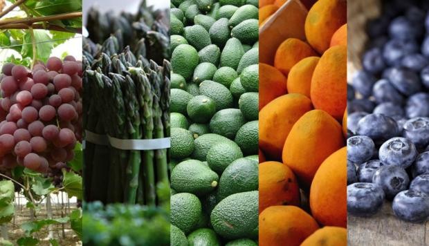 Agroexportaciones de Perú alcanzan los 9.807 millones de dólares en 2022