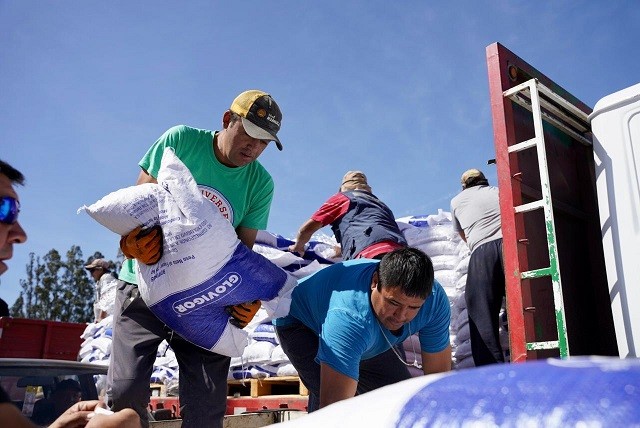 INDAP Araucanía entrega 31 toneladas de centrado animal en Galvarino y anuncia concurso de suelos de emergencia para afectados