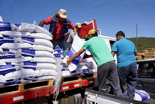 MÁS DE 400 MILLONES EN DINERO Y ESPECIES HA ENTREGADO INDAP EN AYUDA A PEQUEÑOS AGRICULTORES Y AGRICULTORAS AFECTADAS POR LOS INCENDIOS