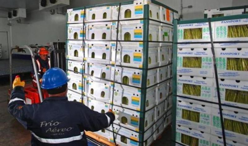Informó ComexPerú Espárragos frescos o refrigerados y mangos frescos o secos concentraron el 60.5% del total de los despachos vía aérea por parte de Perú en 2022